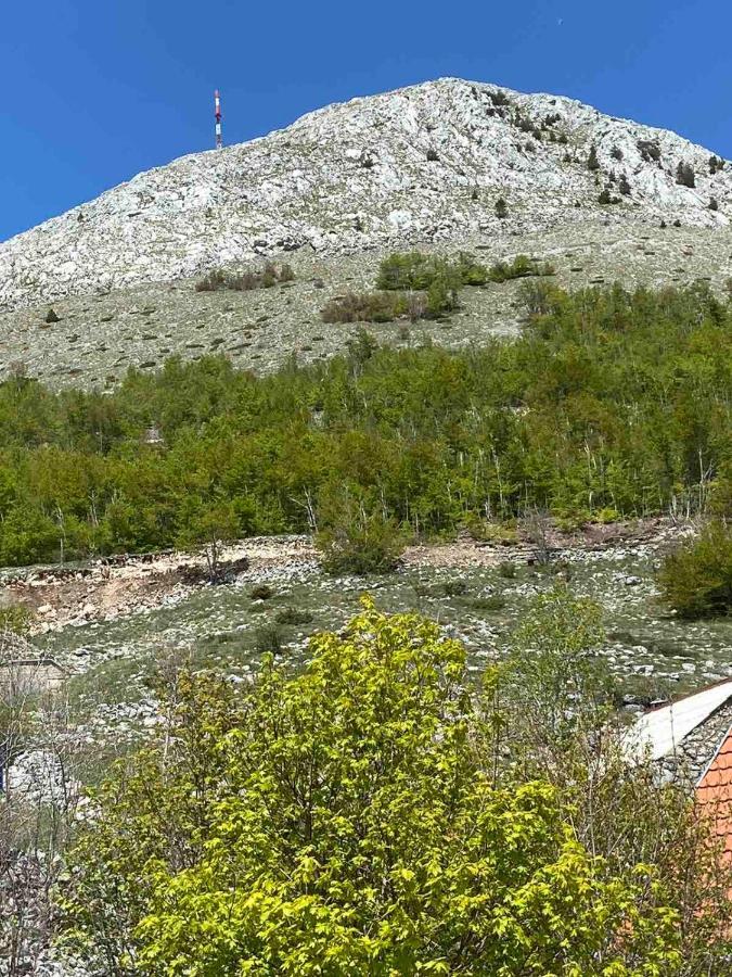 Guest House Markovic Lovcen Cetinje Eksteriør bilde