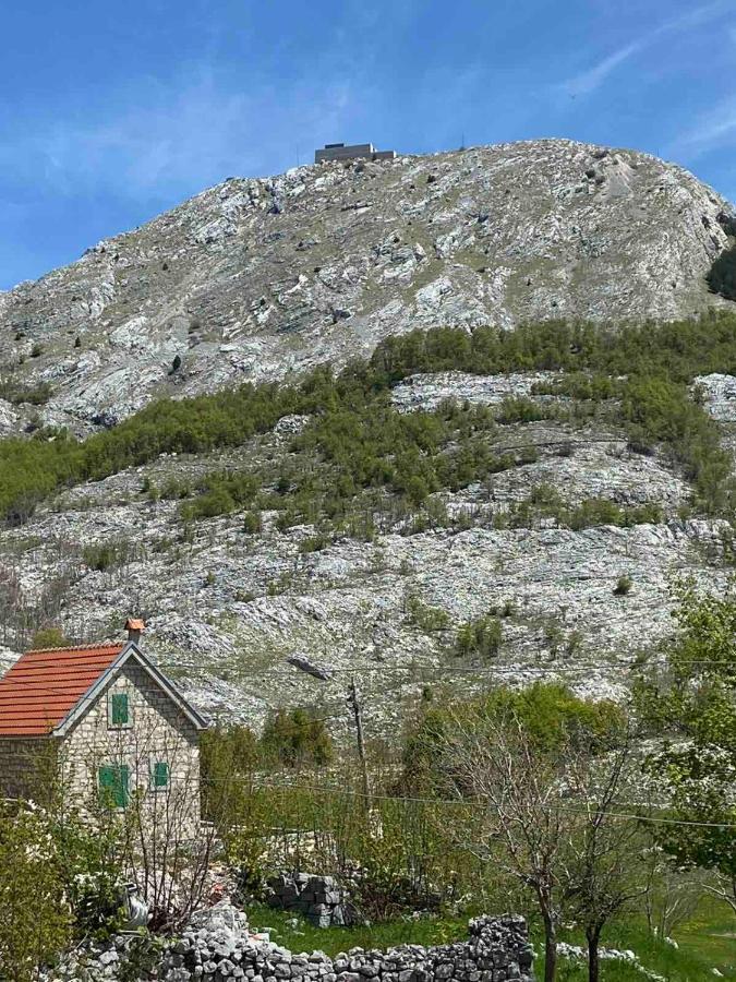 Guest House Markovic Lovcen Cetinje Eksteriør bilde